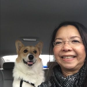 Meet your Posher, Luz